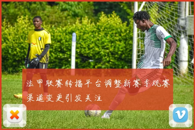 法甲联赛转播平台调整新赛季观赛渠道变更引发关注